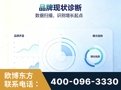 宁国-品牌现状诊断