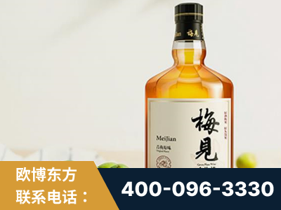 宁国-梅见青梅酒